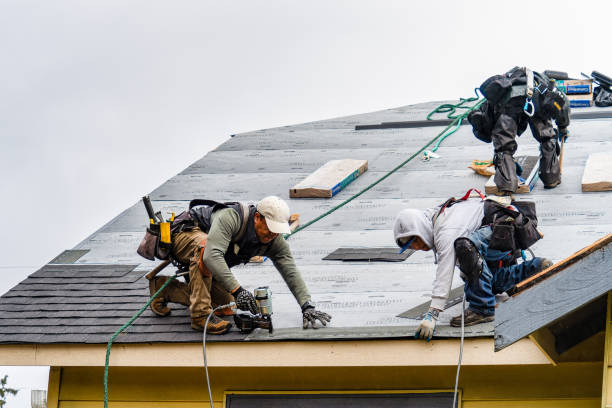 Professional Roof Installation technician working in Wheelwright, MA